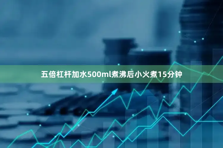 五倍杠杆加水500ml煮沸后小火煮15分钟