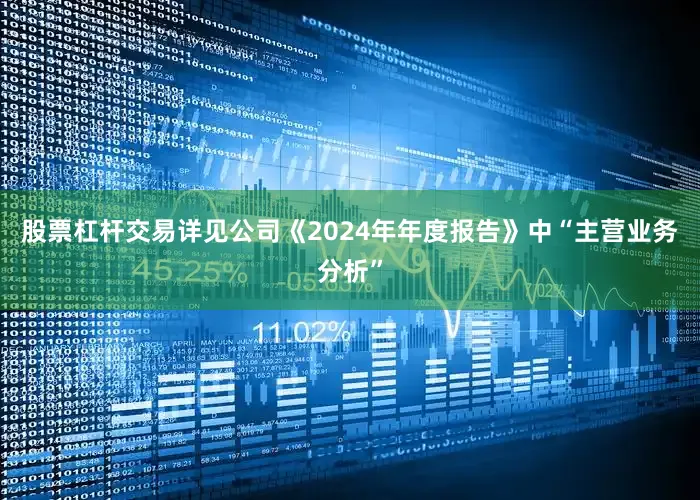股票杠杆交易详见公司《2024年年度报告》中“主营业务分析”