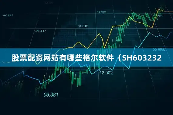 股票配资网站有哪些格尔软件（SH603232